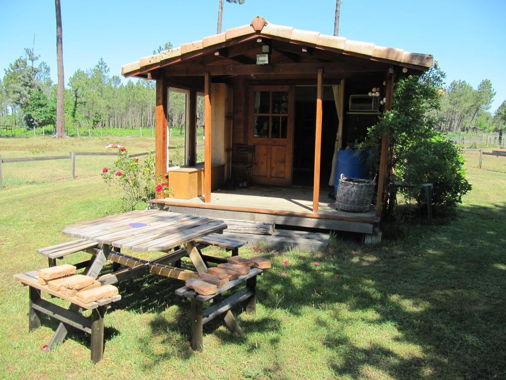 Gite Foret Landaise Sainte-Eulalie-en-Born Exterior photo