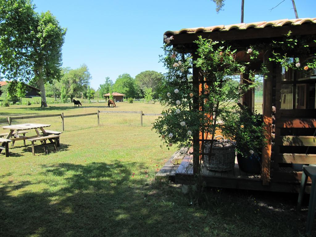 Gite Foret Landaise Sainte-Eulalie-en-Born Exterior photo
